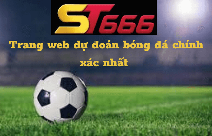 trang web du doan bong da chinh xac nhat 2022